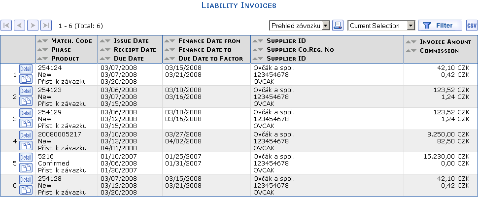 Overview of Liability Invoices