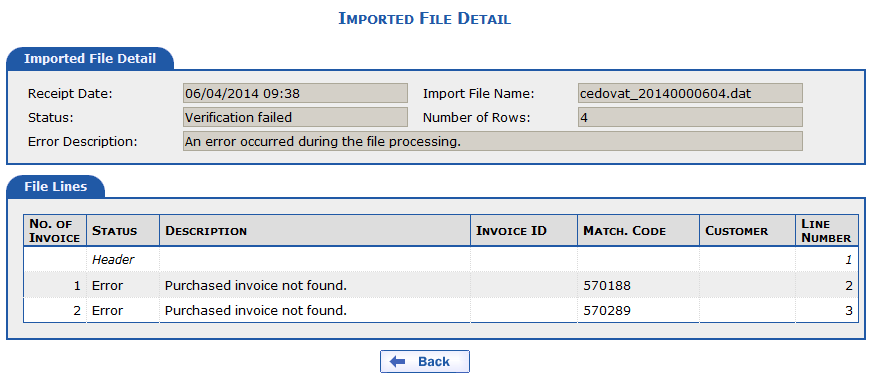 Detail of an imported file that occurred with an error or it was rejected and invoices were not marked. 