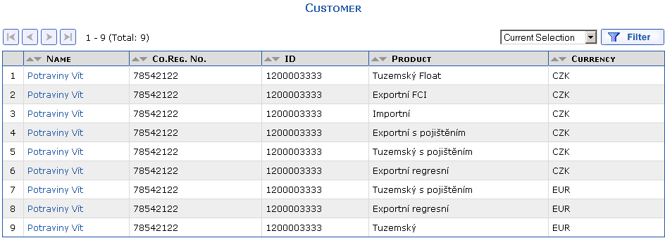 Overview of a customer narrowed by the entered filter