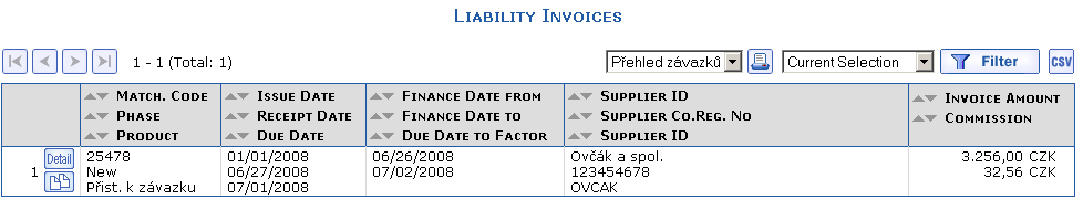 Overview with a selected invoice