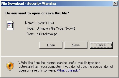 The File Download dialog