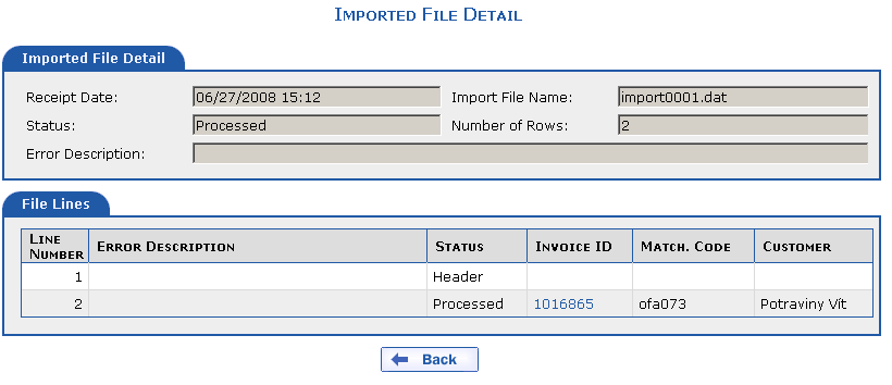 Imported file detail if no errors occurred and invoice import was successful