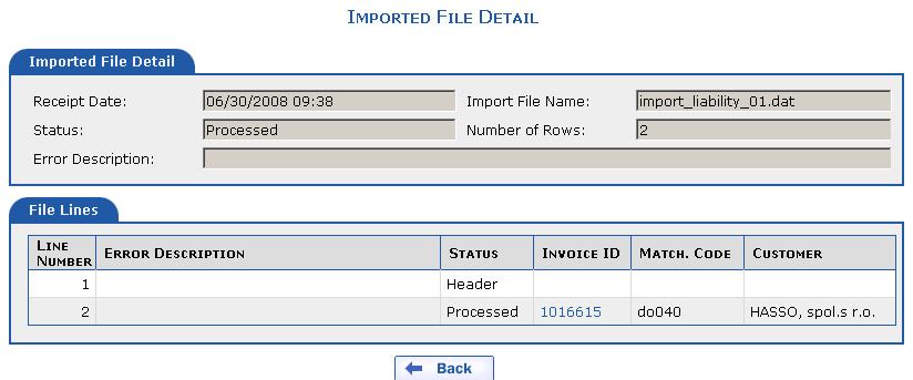 Imported file detail if no errors occurred and invoice import was successful