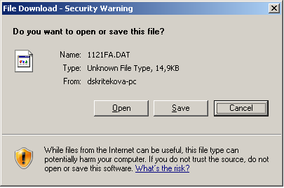 The File Download dialog